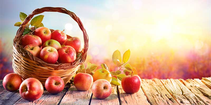 We Ship Hendersonville Apples at a Discount! | Mail Box & Pack